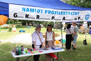 Stanowiska instytucji biorących udział w pikniku.