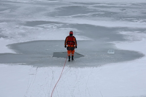 Pozorant na zamarzniętej tafli lodu