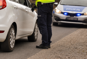 Kontrola drogowa policjantów z WRD